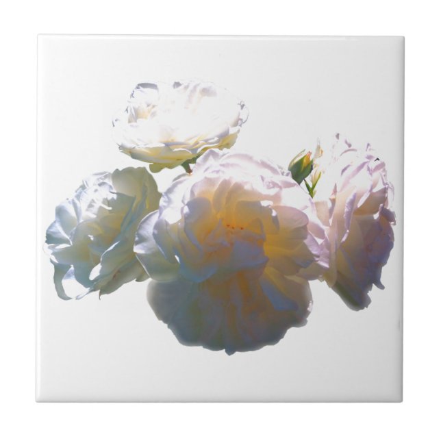 Carreau Elégant blanc pêche orange roses (Devant)