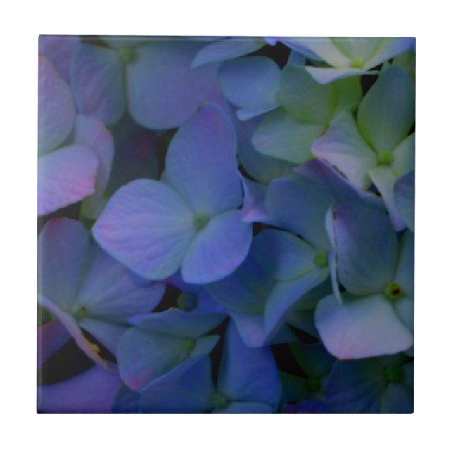 Carreau Élégant bleu pourpre bleu pourpre floral (Devant)