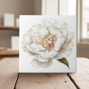 Carreau Elégant ivoire blanc peony
