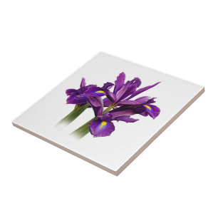 Carreau Elégant Néerlandais Iris Purple Sensation