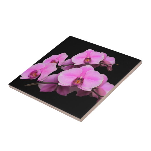 Carreau Élégant orchidées roses Phalaenopsis sur noir (Côté)