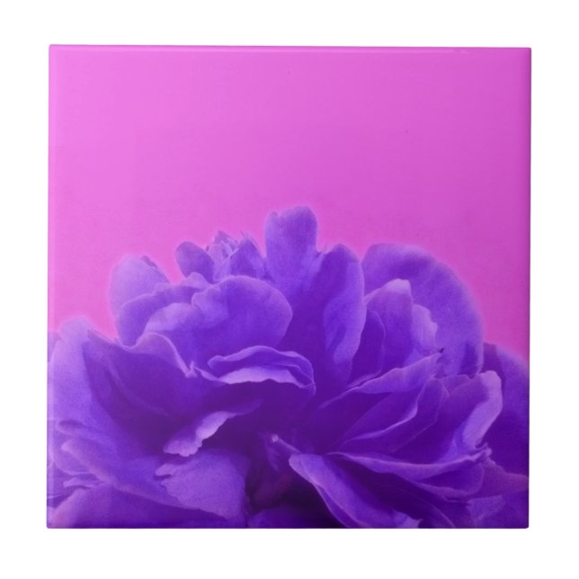 Carreau Elegant Purple Raspberry Floral (Devant)