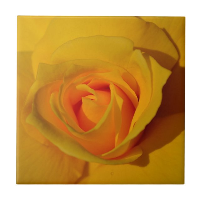 Carreau Élégant rose jaune orange classique (Devant)
