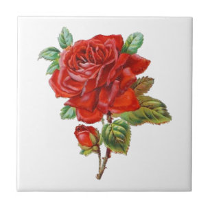 Carreau élégant rouge Vintage rose maison décoration