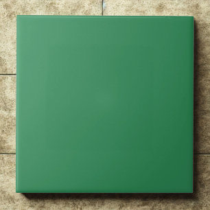 Carreau Elégant Vert de mer Accent moderne
