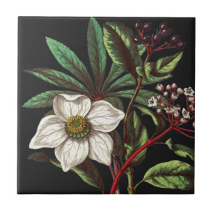 Carreau Élégante Fleur Rose de Noël Vintage