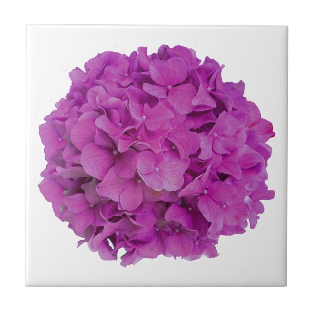 Carreau Elégante magenta rose hydrangée florale roses (Devant)