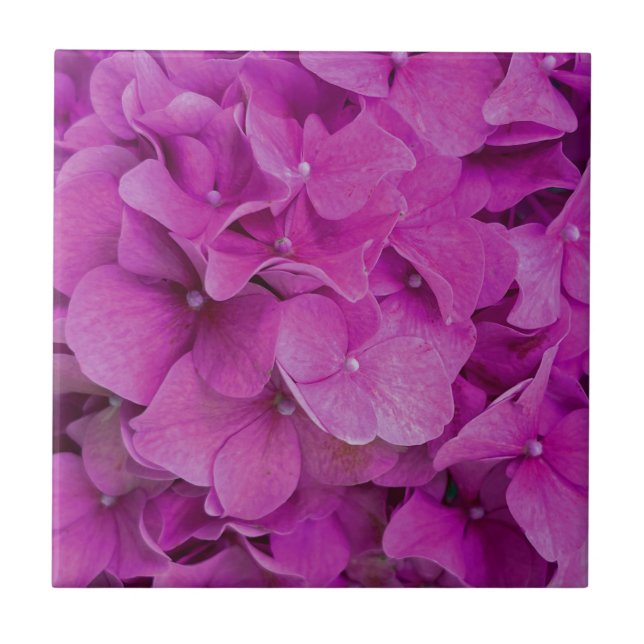Carreau Elégante magenta rose hydrangée florale roses (Devant)