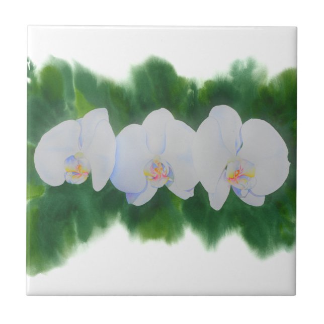 Carreau Elégante peinture d'orchidée tropicale blanche (Devant)