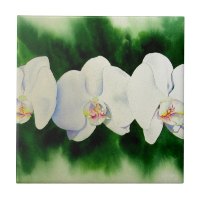 Carreau Elégante peinture d'orchidée tropicale blanche (Devant)