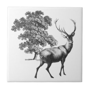 Carreau Elégante toile de cerf blanc Vintage