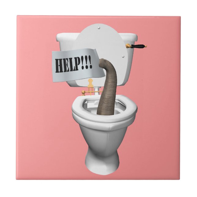 Carreau Eléphant Coincé Dans Les Toilettes (Devant)