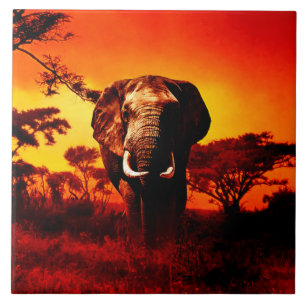 Carreau Éléphant de coucher du soleil