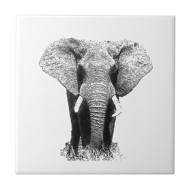 Carreau Eléphant noir et blanc (Devant)