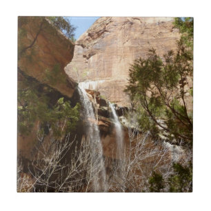 Carreau Emerald Pool Falls I du parc national de Zion