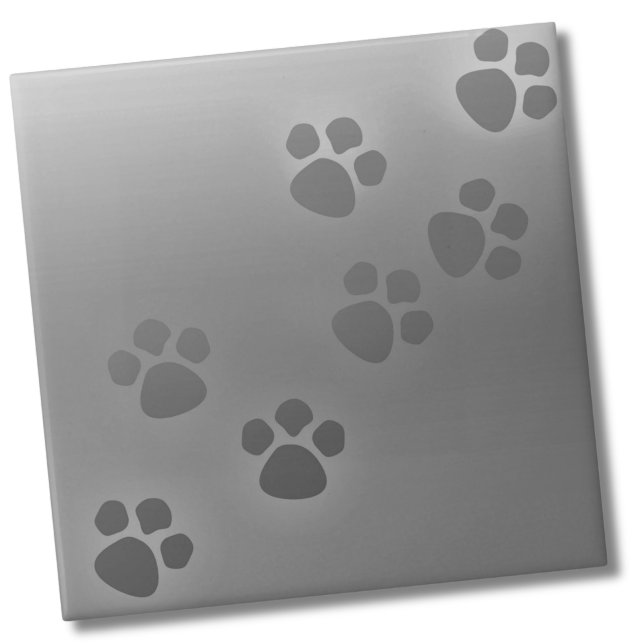 Carreau Empreinte de patte animal gris simple (Cute Simple Gray Ombre Animal Paw Print Pattern Ceramic Tile)