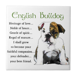 Carreau English Bulldog Heritage of Love
