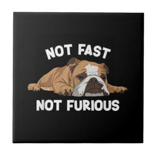 Carreau English Bulldog Sleeping Not Fast Not Furious Funn