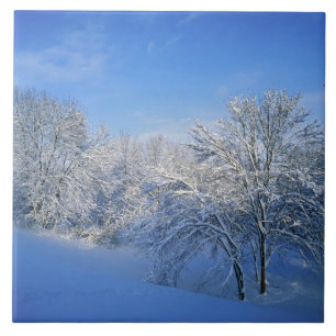 Carreau Enneigement record à Louisville, Kentucky.