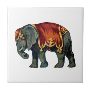 Carreau Éphant de cirque