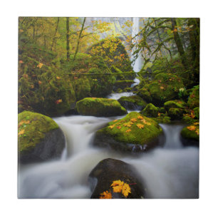 Carreau Érable Bigleaf de McCord Creek  Columbia Gorge, OR