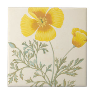 Carreau Eschscholtzia californien