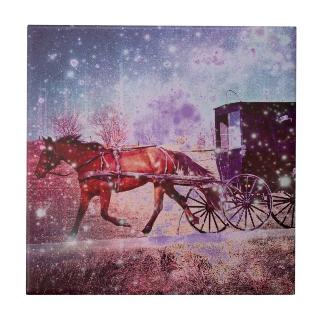 Carreau Espace Amish (Devant)