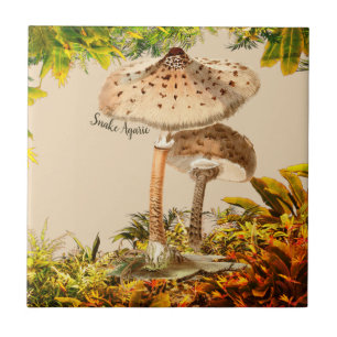 Carreau Espèce de champignons Serpent Agaric  