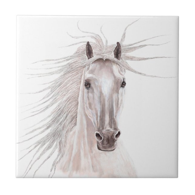 Carreau Esprit du cheval de vent - cru (Devant)