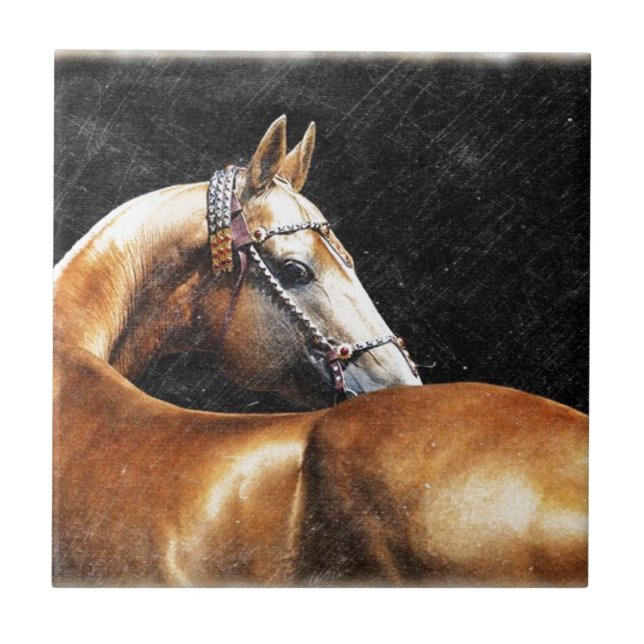 Carreau étalon de Palomino Akhal-teke (Devant)
