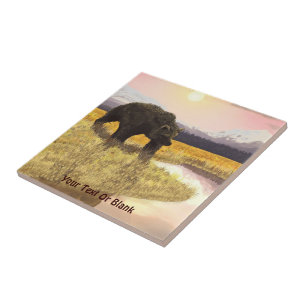 Carreau Étang Grizzly