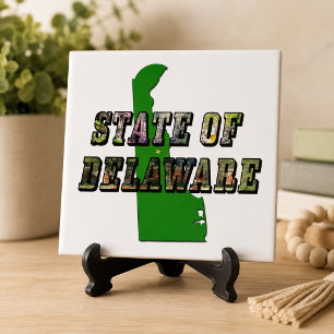 Carreau État du Delaware Texte d'image et contour de carte