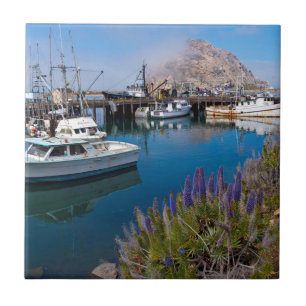 Carreau États-Unis, Californie. Bateaux D'Accueil À Morro 