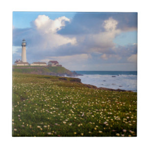 Carreau États-Unis, Californie. Big Sur Panorama 2