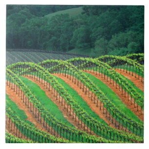 Carreau États-Unis, Californie, comté de Mendocino, un t