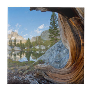 Carreau États-Unis, Californie, forêt nationale d'Inyo. An