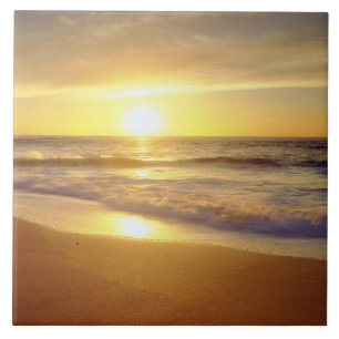 Carreau États-Unis, Californie, San Diego. La Jolla Shore