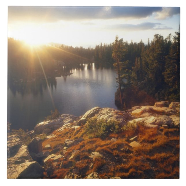 Carreau États-Unis, Californie, Sierra Nevada Mountains.Co (Devant)