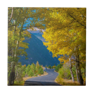 Carreau États-Unis, Colorado. Route flanquée de trembles
