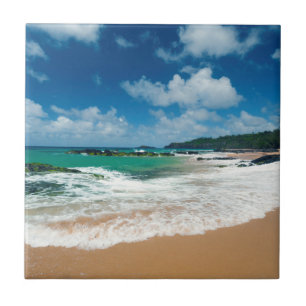 Carreau États-Unis, Kauai, Hawaï. Une Femme Promène Les Ro