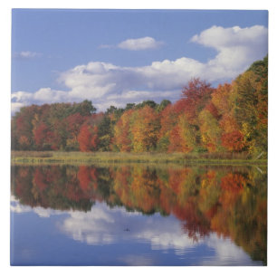 Carreau États-Unis, Massachusetts, Acton. Reflet de l'auto