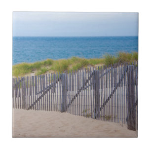 Carreau États-Unis, Massachusetts. Dunes Et Chemin