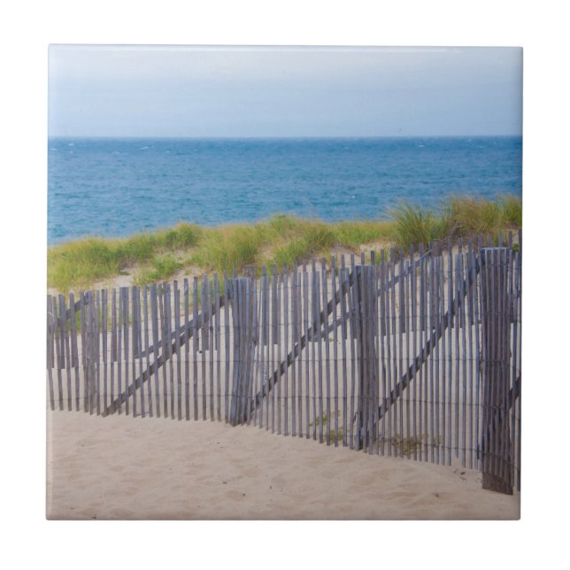 Carreau États-Unis, Massachusetts. Dunes Et Chemin (Devant)