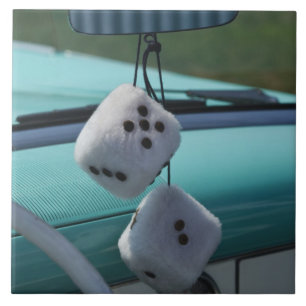 Carreau États-Unis, Massachusetts, Gloucester. Dinde dans 