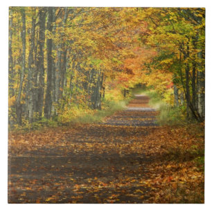 Carreau États-Unis, Michigan, Haute Péninsule. Rue à l'ent