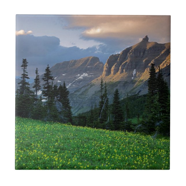 Carreau États-Unis, Montana, Parc national des Glaciers, c (Devant)
