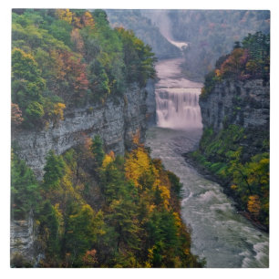 Carreau États-Unis, New York, Letchworth State Park. Riviè
