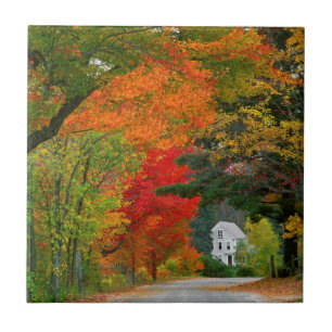 Carreau États-Unis, Nouvelle-Angleterre, New Hampshire, An