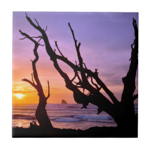 Carreau États-Unis, Oregon, Cape Meares. Coucher de soleil