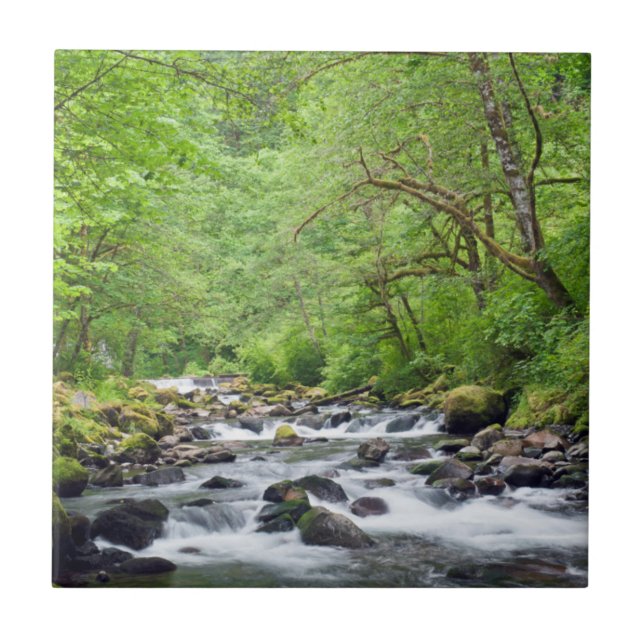 Carreau États-Unis, Oregon, Columbia River Gorge, Tanner C (Devant)